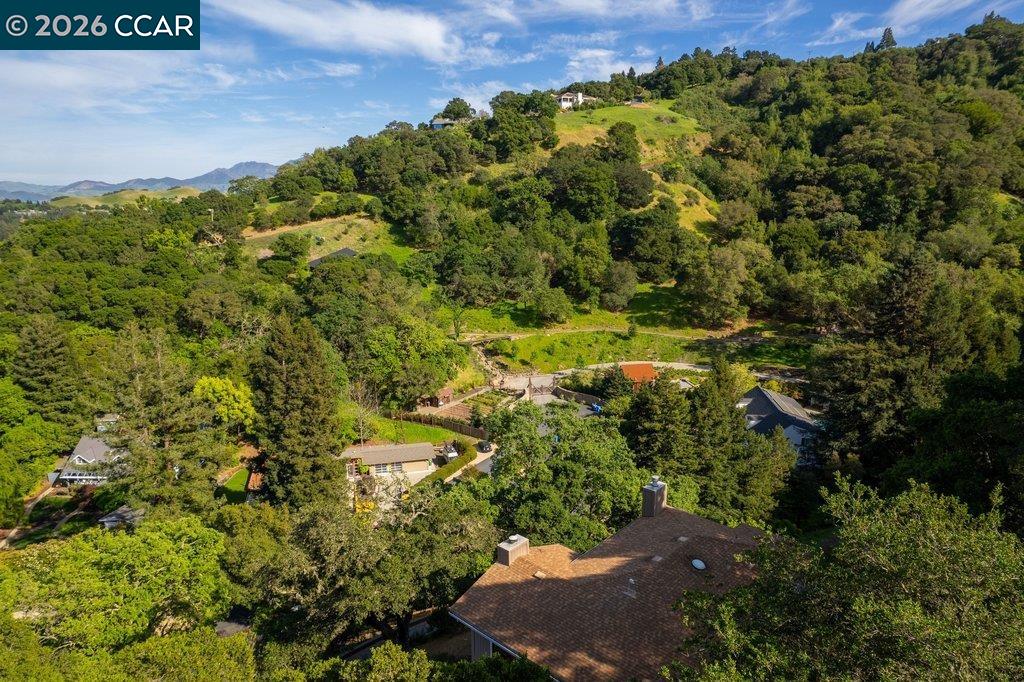 14 Springhill Lane Lafayette, CA 94549 - Photo 46 of 53