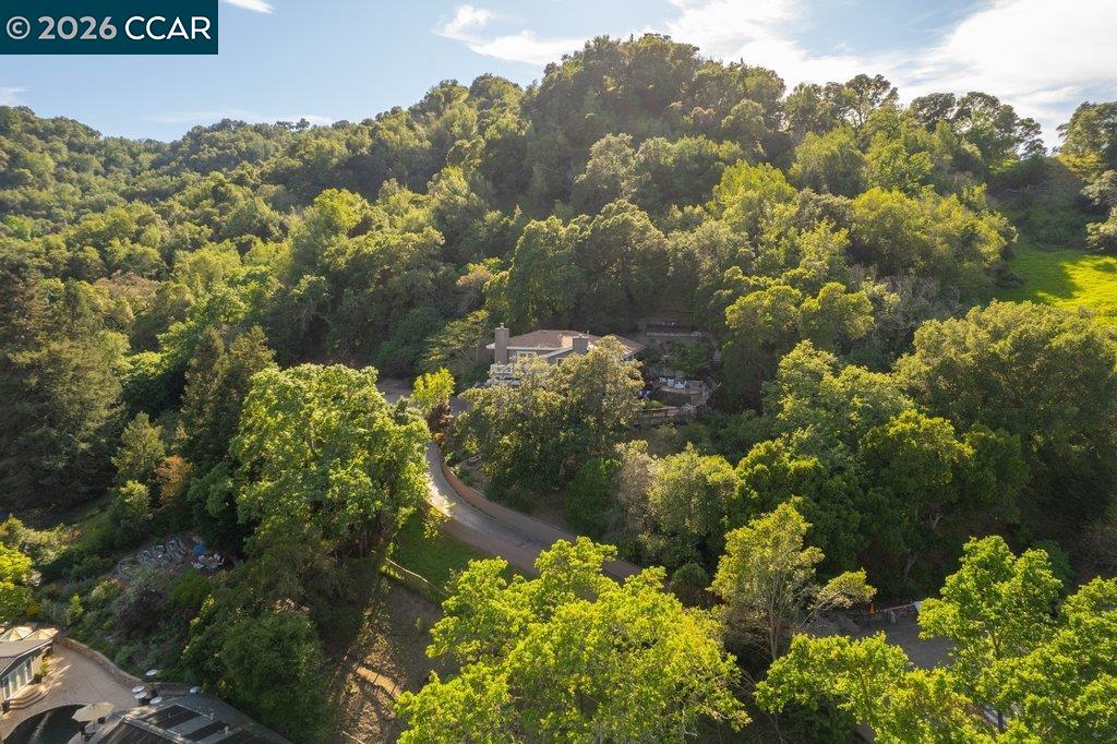 14 Springhill Lane Lafayette, CA 94549 - Photo 53 of 53