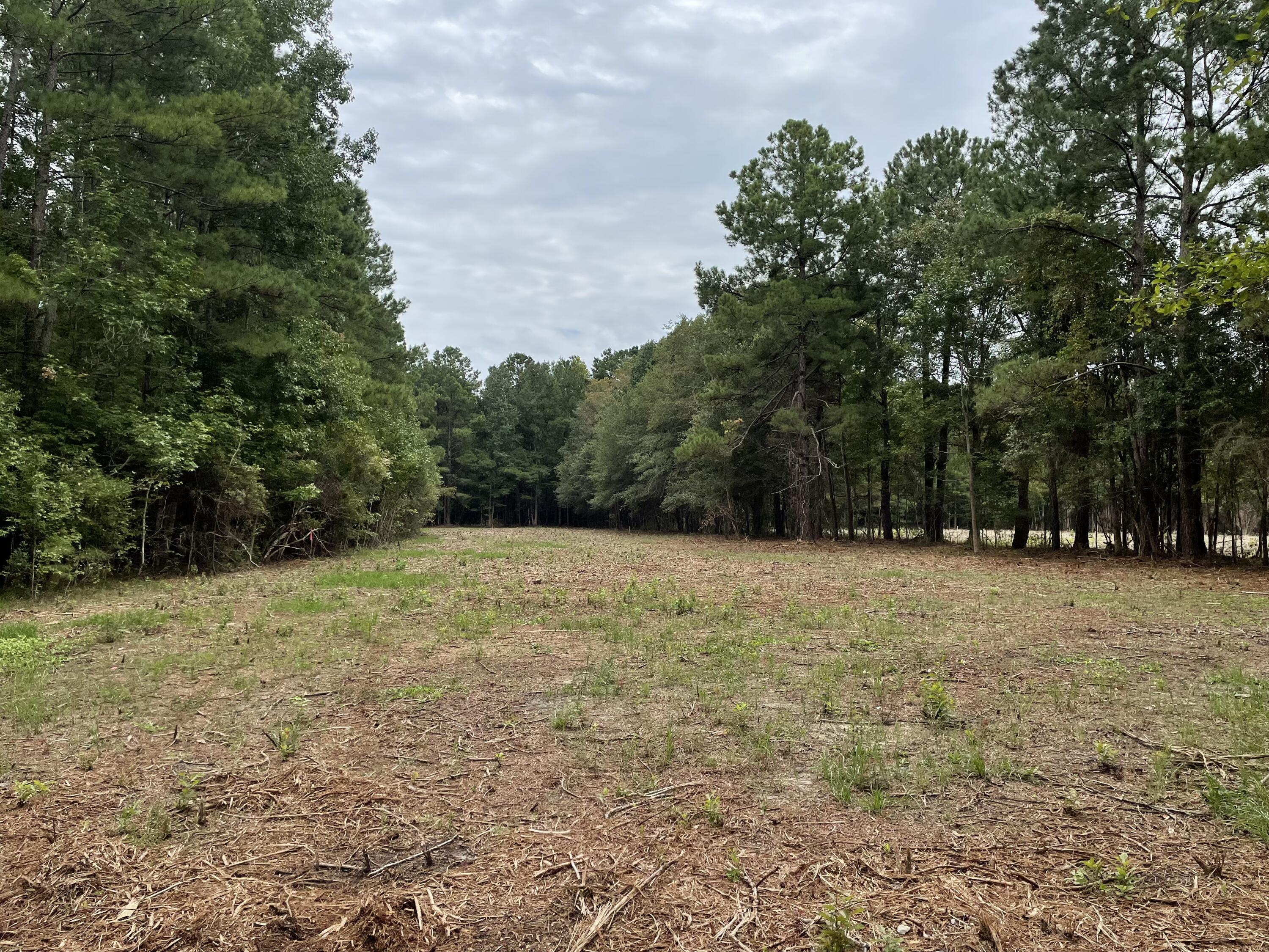 0 Sampson Road, Ridgeville, SC 29472 Compass