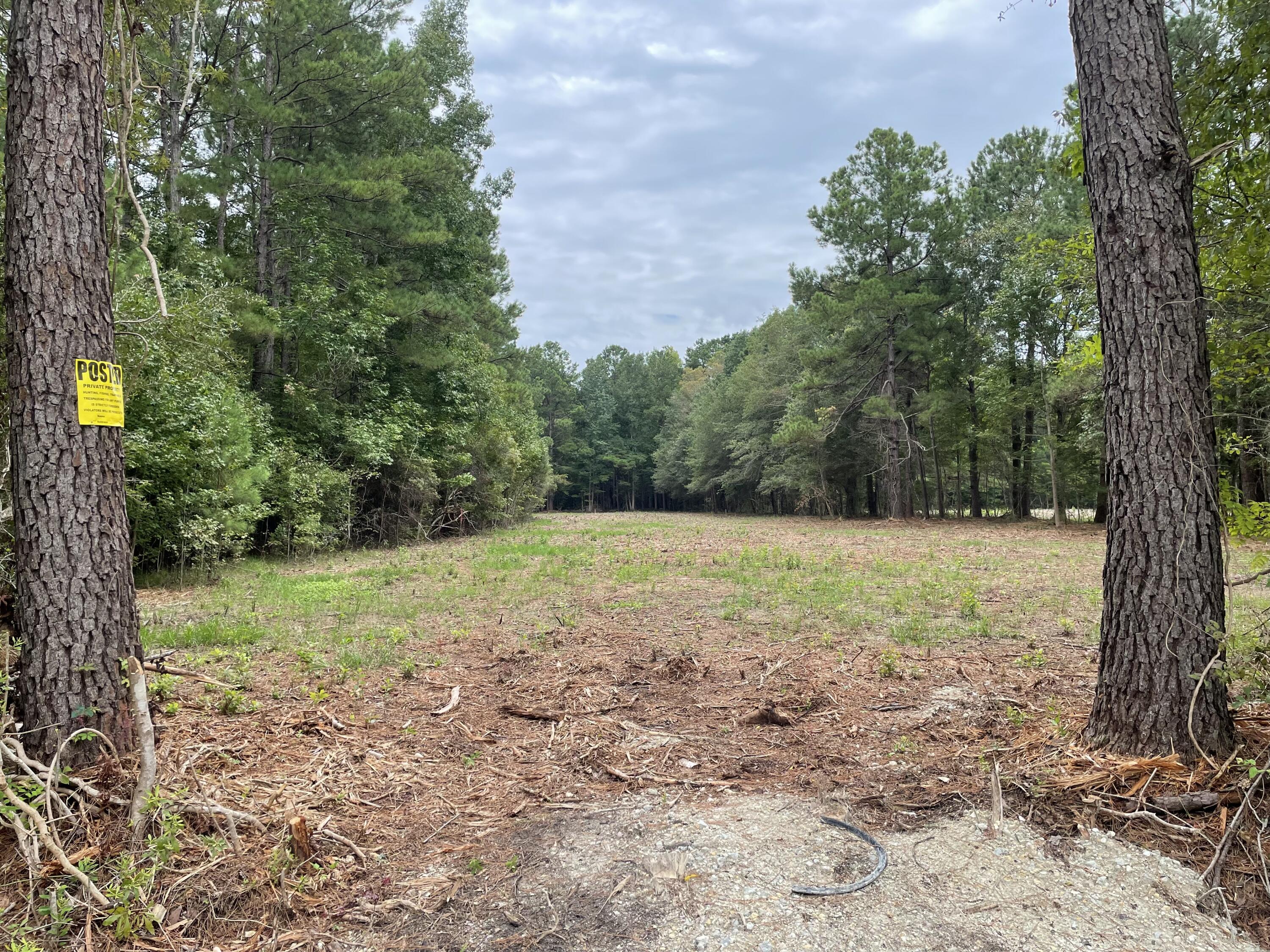 0 Sampson Road Ridgeville, SC 29472 - Photo 7 of 7 IMG_0353