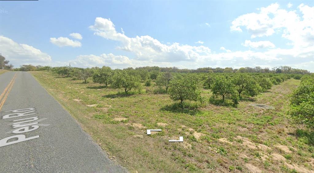 Peru Road Umatilla, FL 32784 - Photo 3 of 6