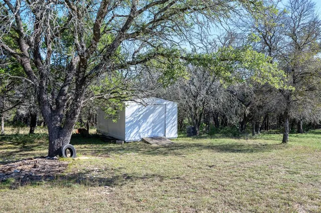 a view of backyard with tree