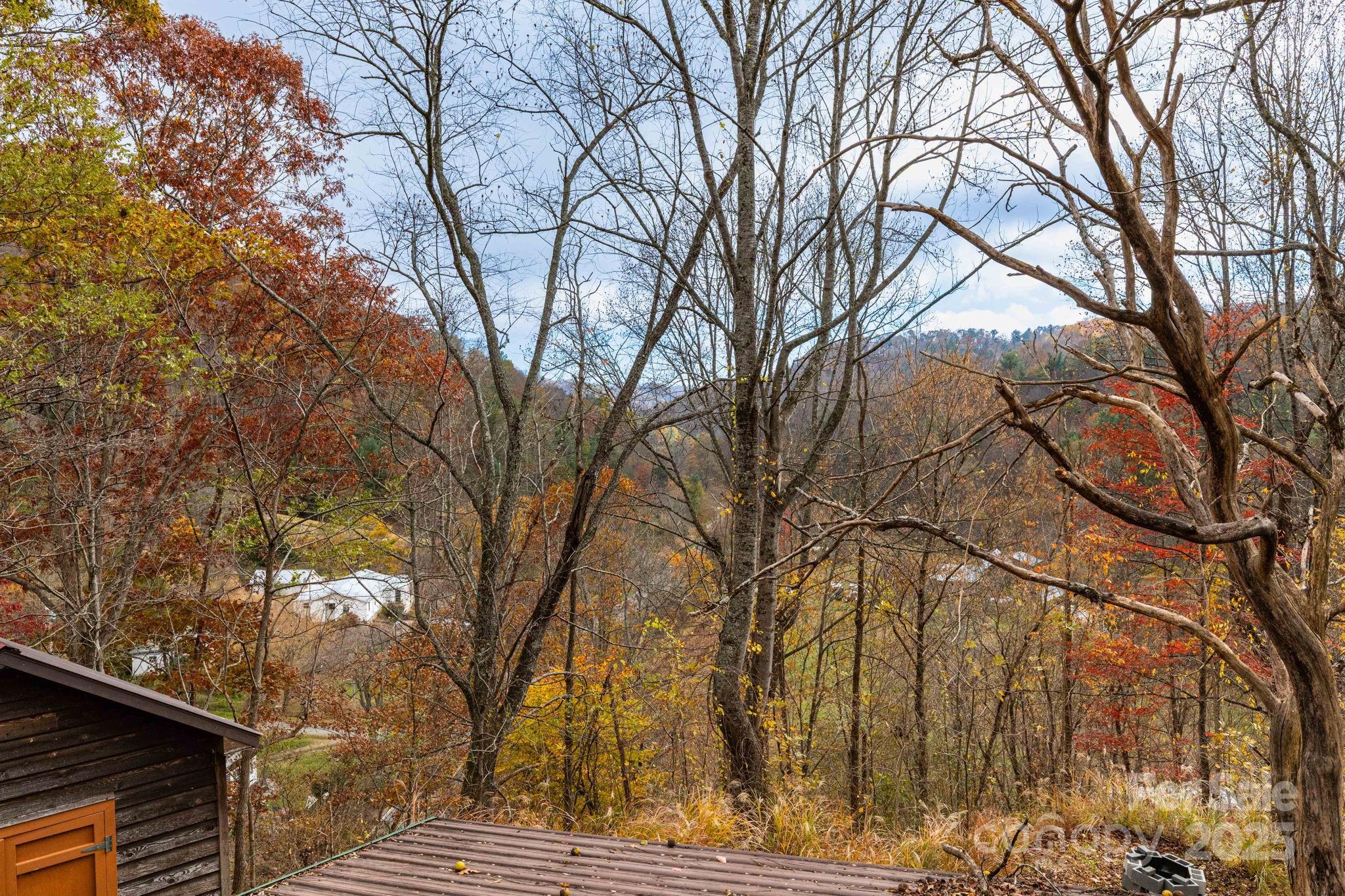 35 Norton Br Road Marshall, NC 28753 - Photo 31 of 35 a view of a yard with large trees