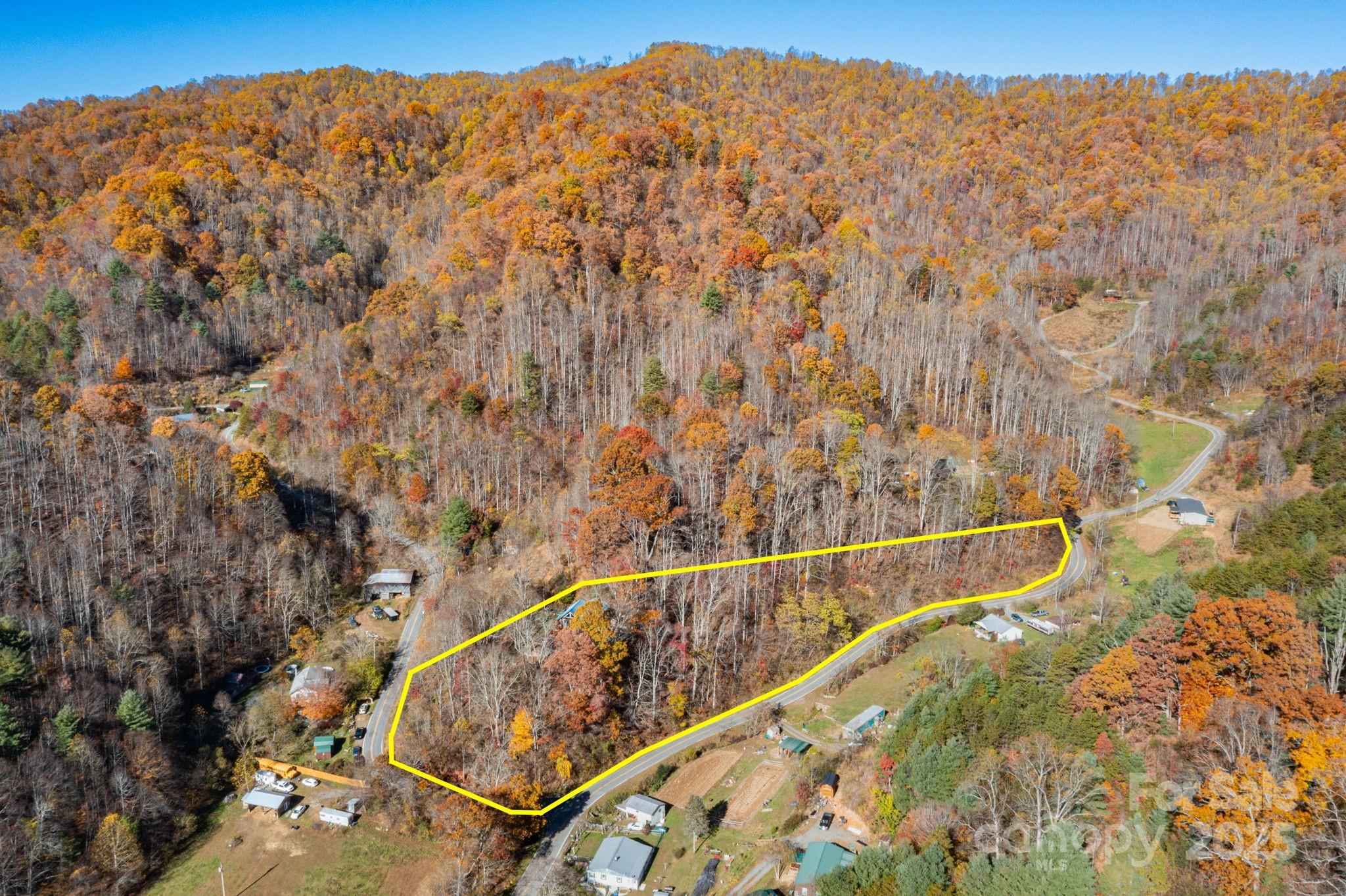 35 Norton Br Road Marshall, NC 28753 - Photo 34 of 35 a view of a forest