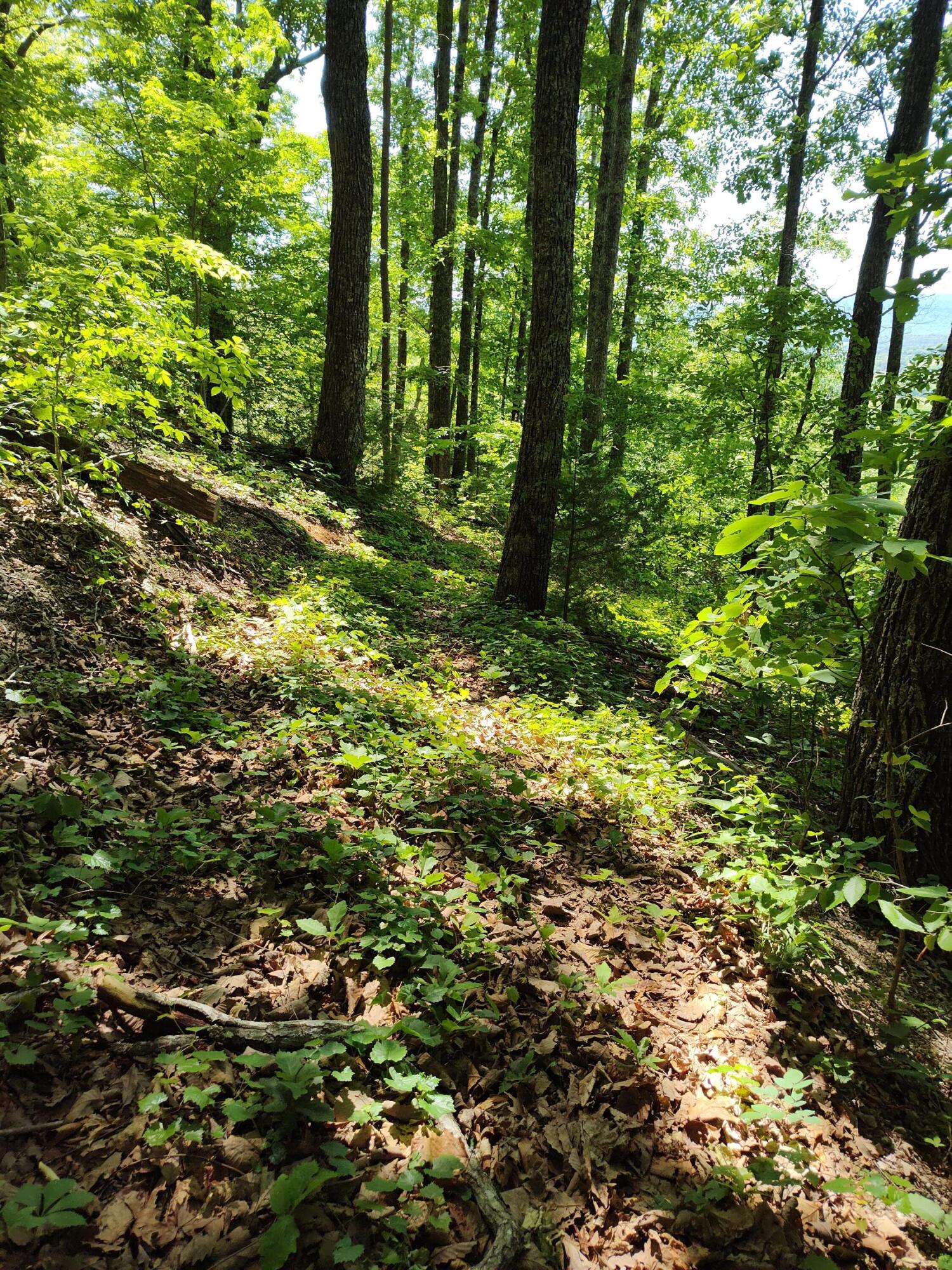 IMG_20260515_135502099_HDR[1]