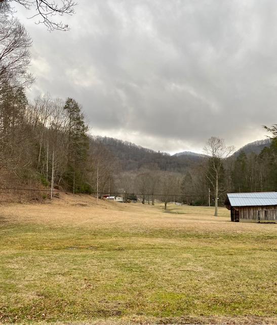 233 Falls Road Hampton, TN 37658 - Photo 1 of 26 IMG_0333