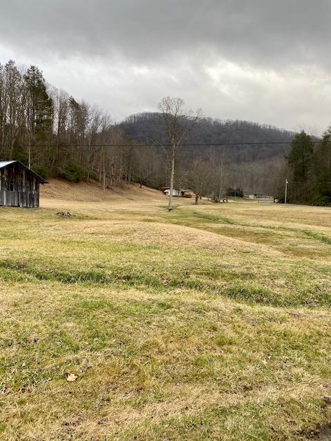 233 Falls Road Hampton, TN 37658 - Photo 12 of 26 IMG_0313
