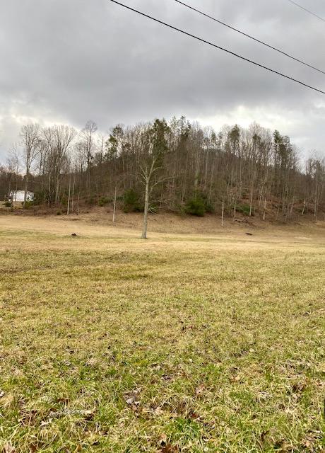 233 Falls Road Hampton, TN 37658 - Photo 14 of 26 IMG_0317