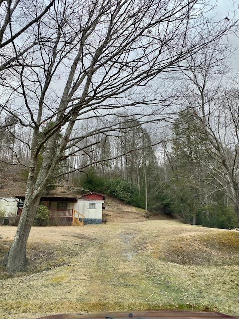 233 Falls Road Hampton, TN 37658 - Photo 18 of 26 IMG_0322