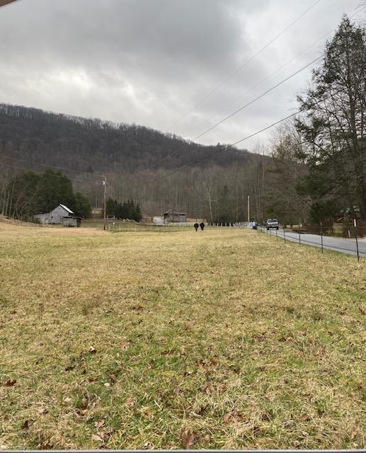 233 Falls Road Hampton, TN 37658 - Photo 19 of 26 IMG_0323