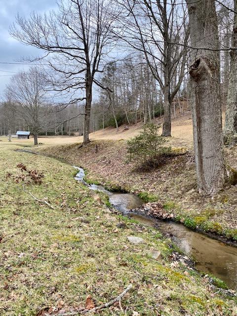 233 Falls Road Hampton, TN 37658 - Photo 2 of 26 IMG_0329