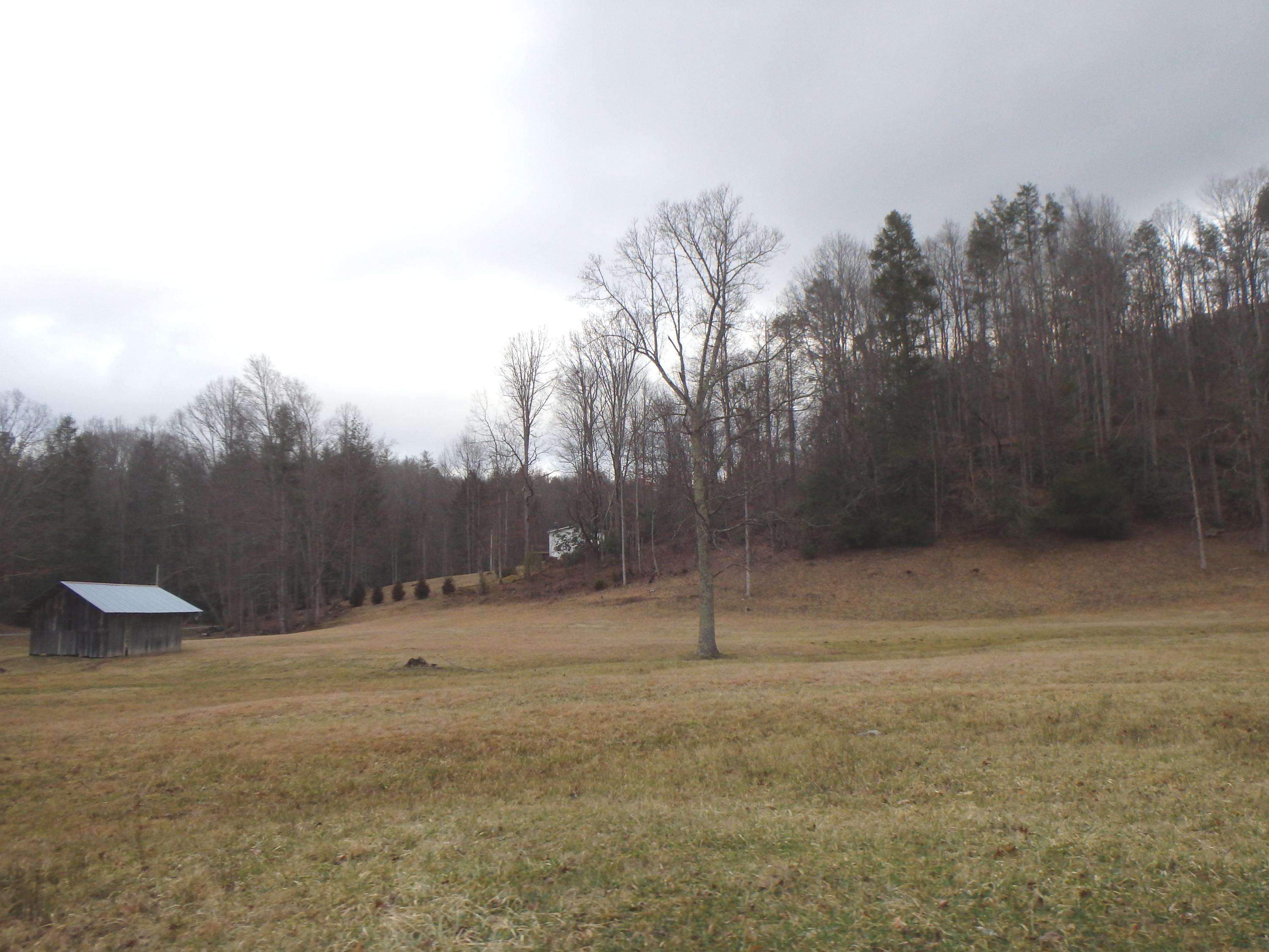 233 Falls Road Hampton, TN 37658 - Photo 5 of 26 P1300497