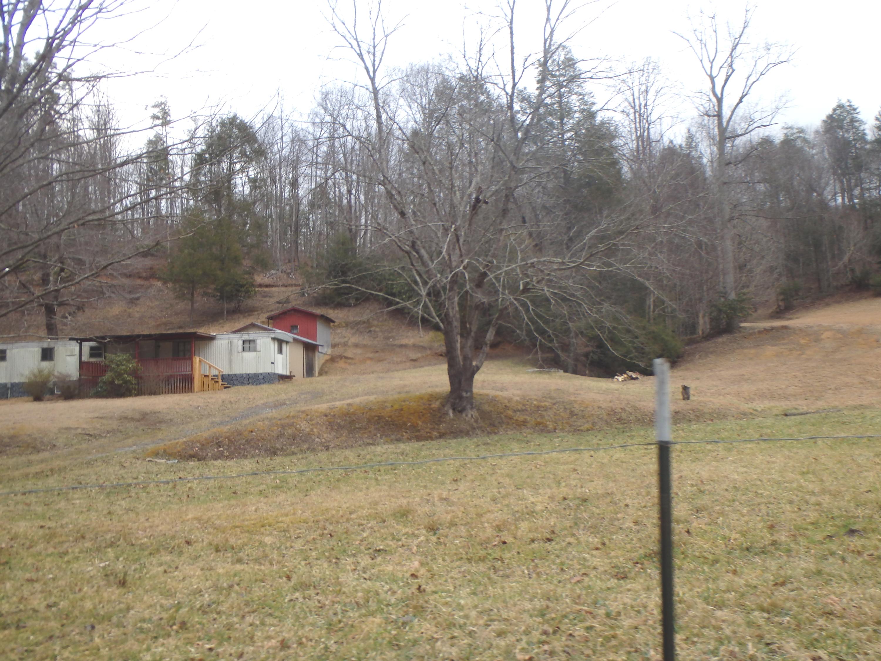 233 Falls Road Hampton, TN 37658 - Photo 8 of 26 P1300503