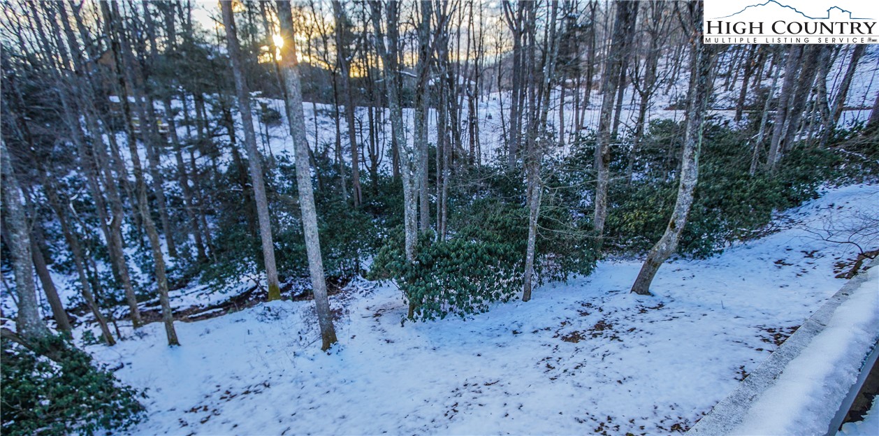 394 Shady Bark Lane Boone, NC 28607 - Photo 34 of 37 Gallery Image 34