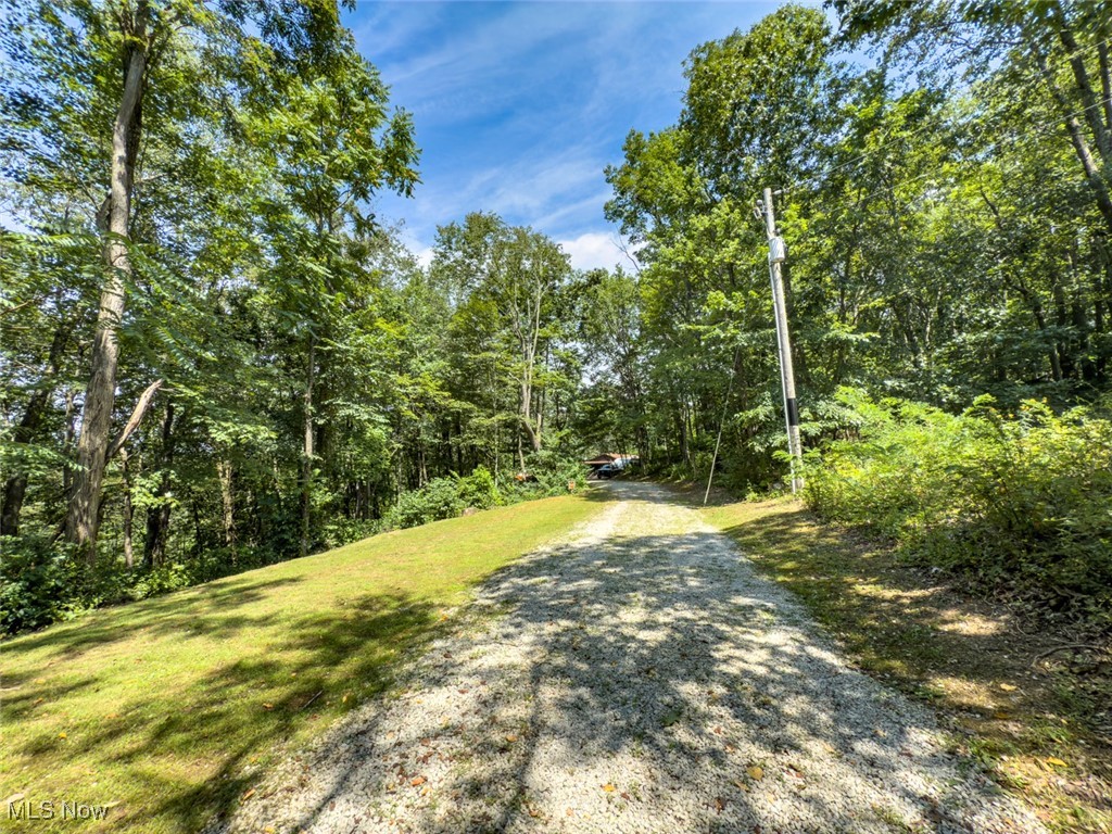 34390 Barber Ridge Road Lewisville, OH 43754 - Photo 10 of 50 View of dirt / gravel road with a wooded view