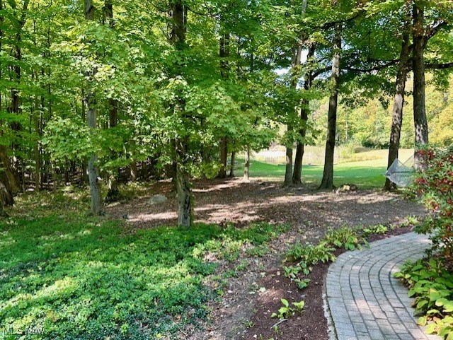 3422 Southern Road Richfield, OH 44286 - Photo 36 of 42 walkway to the deck