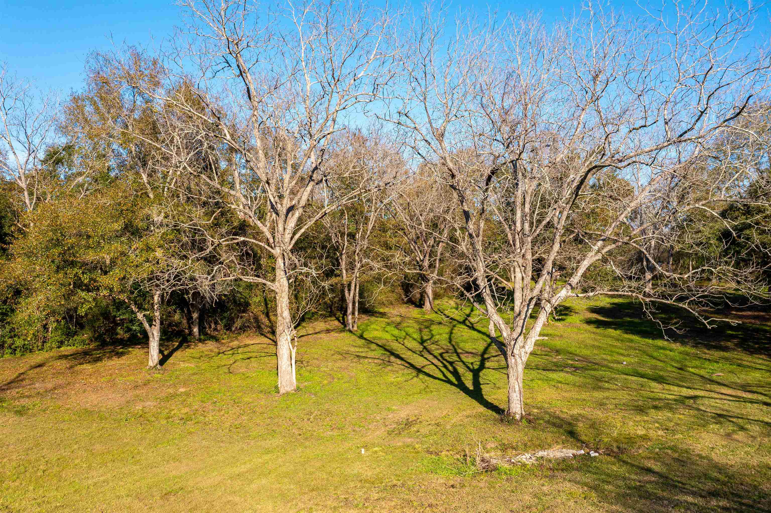 312 Pecan Ridge Boulevard Fairhope, AL 36532 - Photo 6 of 43 Yard
