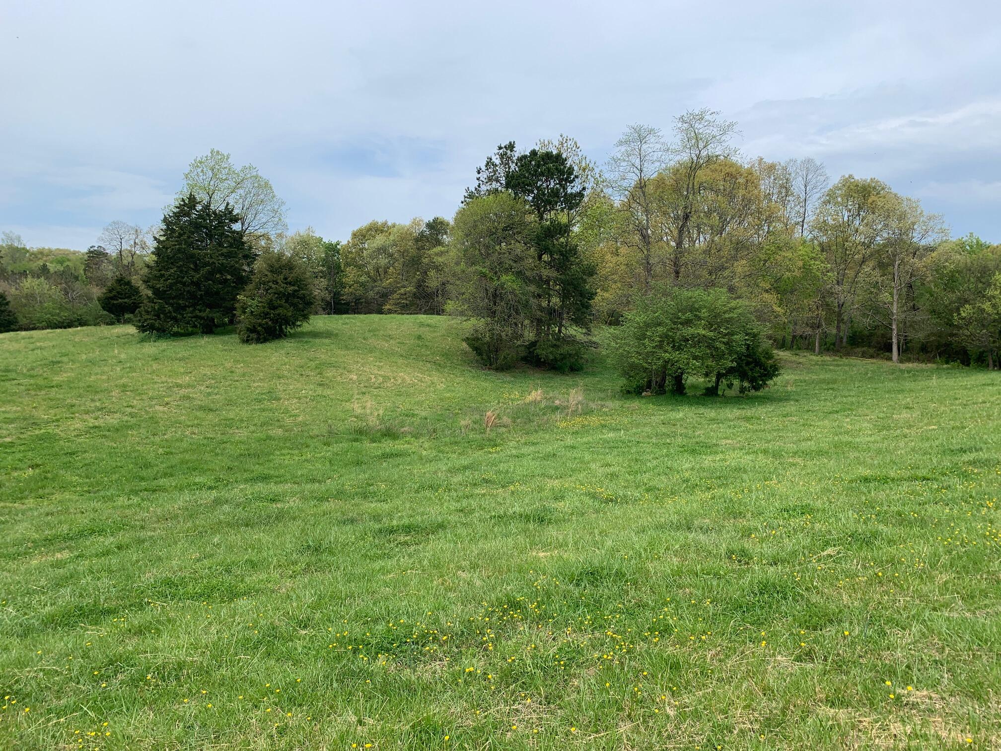 Fork Creek Road Philadelphia, TN 37846 - Photo 3 of 7 3_Acreage