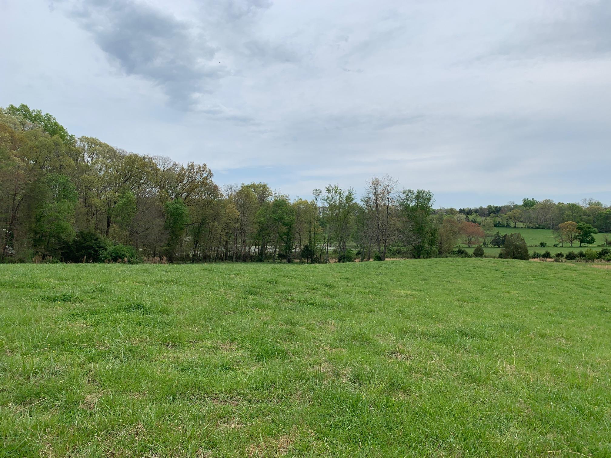 Fork Creek Road Philadelphia, TN 37846 - Photo 4 of 7 4_Acreage