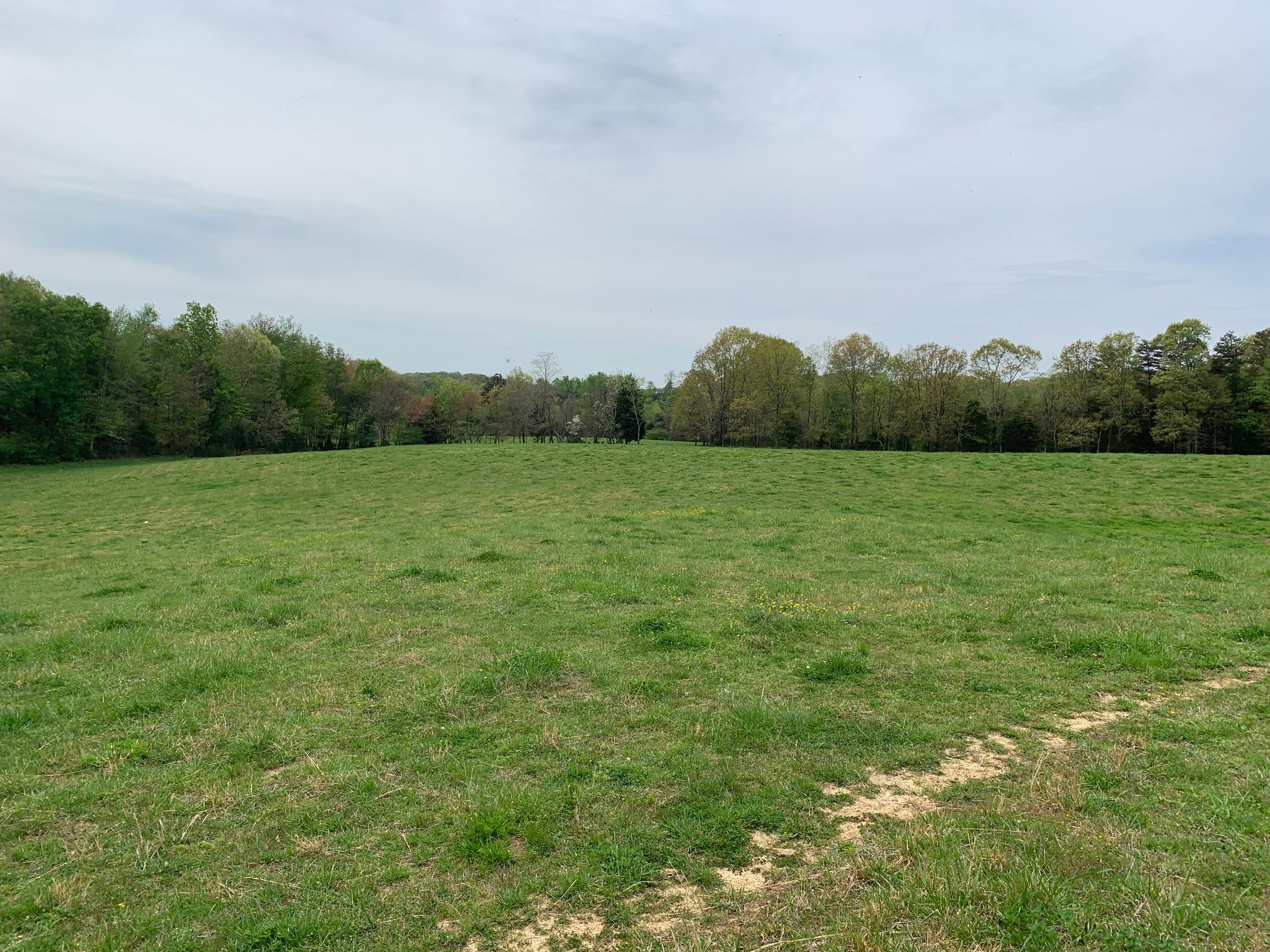 Fork Creek Road Philadelphia, TN 37846 - Photo 5 of 7 5_Acreage