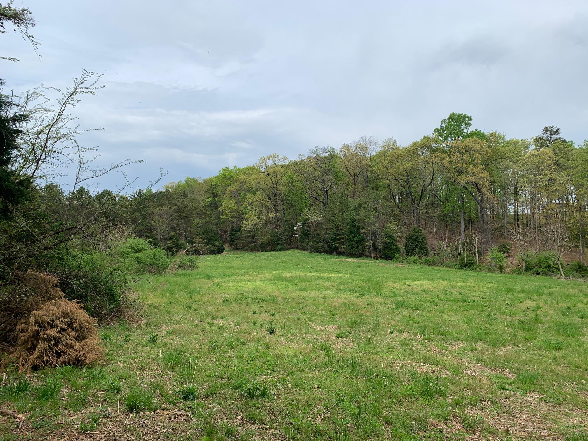Fork Creek Road Philadelphia, TN 37846 - Photo 6 of 7 6_Acreage
