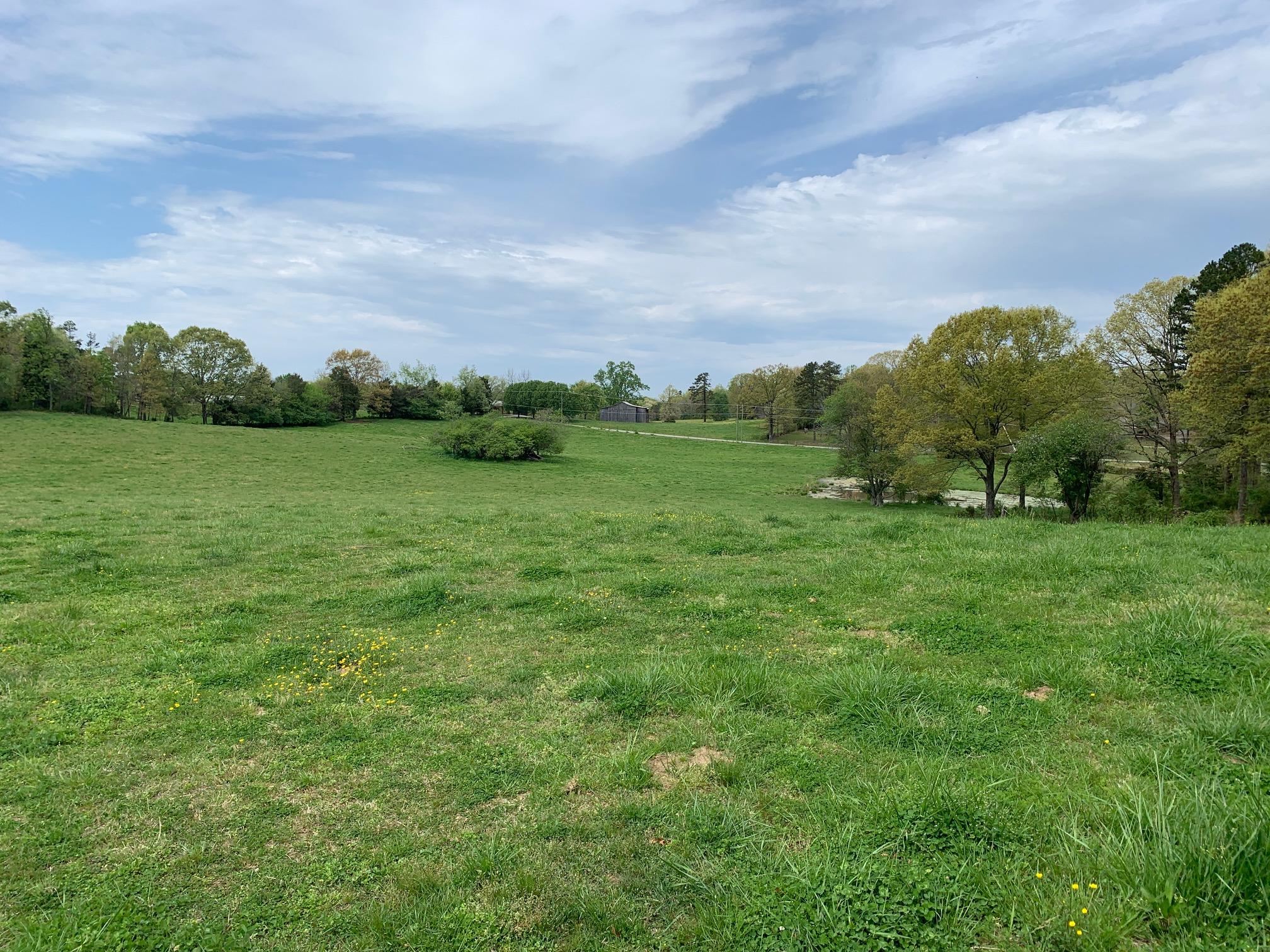 Fork Creek Road Philadelphia, TN 37846 - Photo 7 of 7 7_Acreage