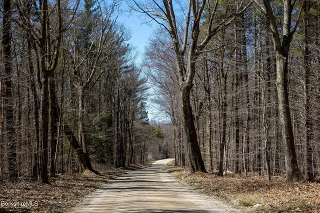 a view of outdoor space with trees