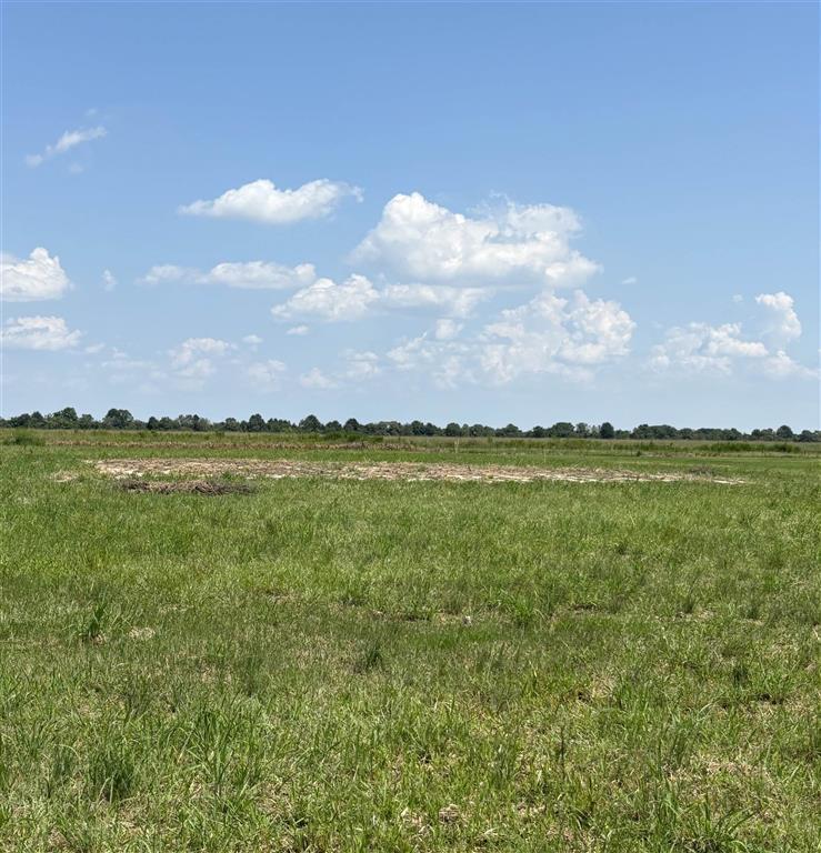 443 Charlie Kuntz Road Kinder, LA 70648 - Photo 3 of 3
