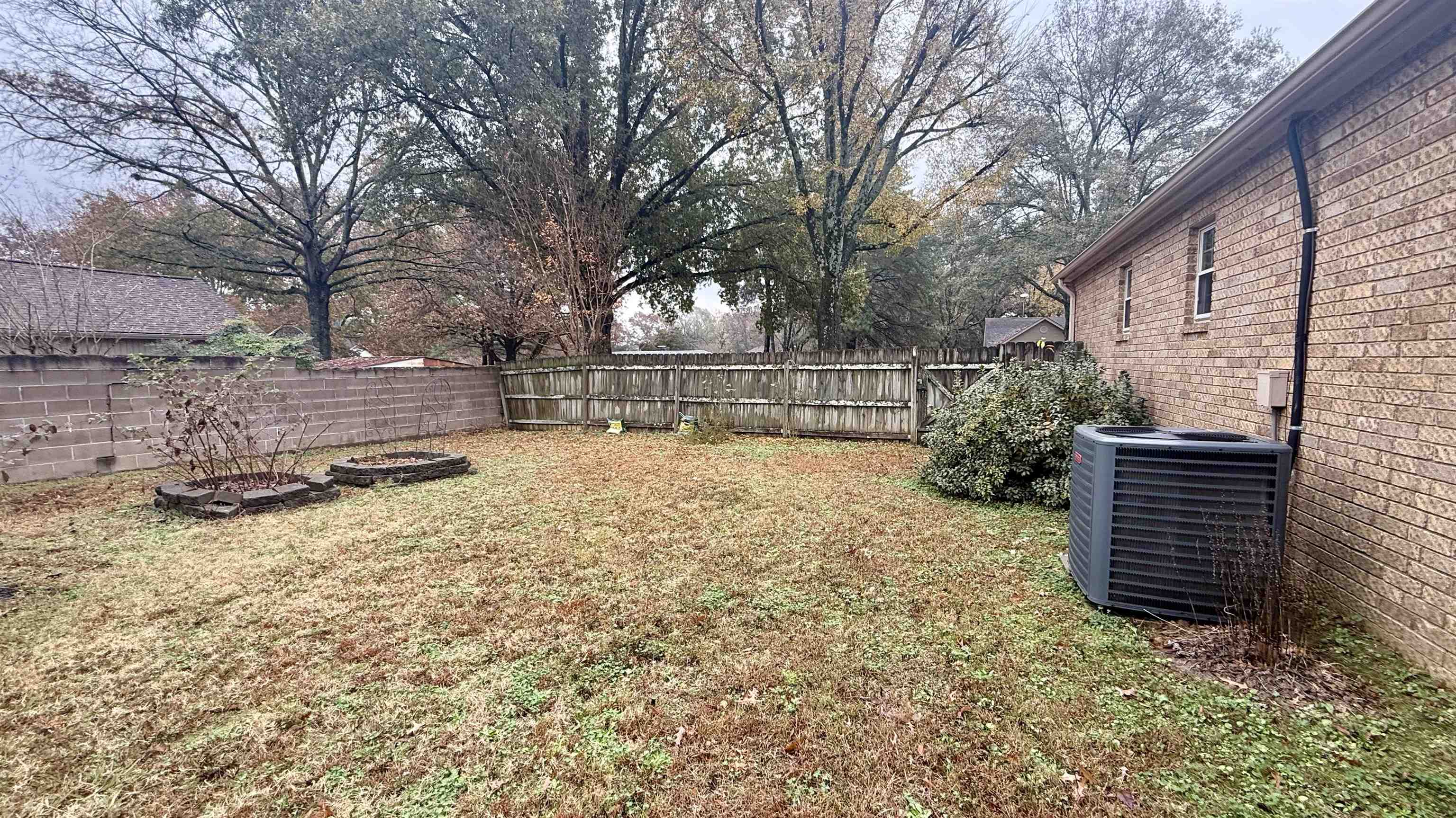 2639 Cedar Ridge Drive Germantown, TN 38138 - Photo 17 of 17 a view of a yard with a tree