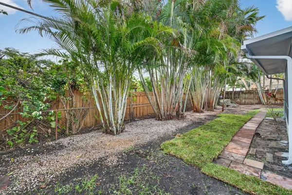 a view of a backyard with large trees and wooden fence