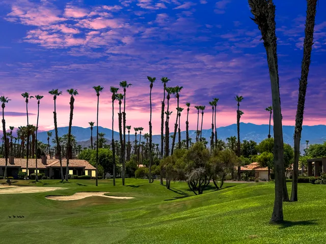 a view of a park with large trees