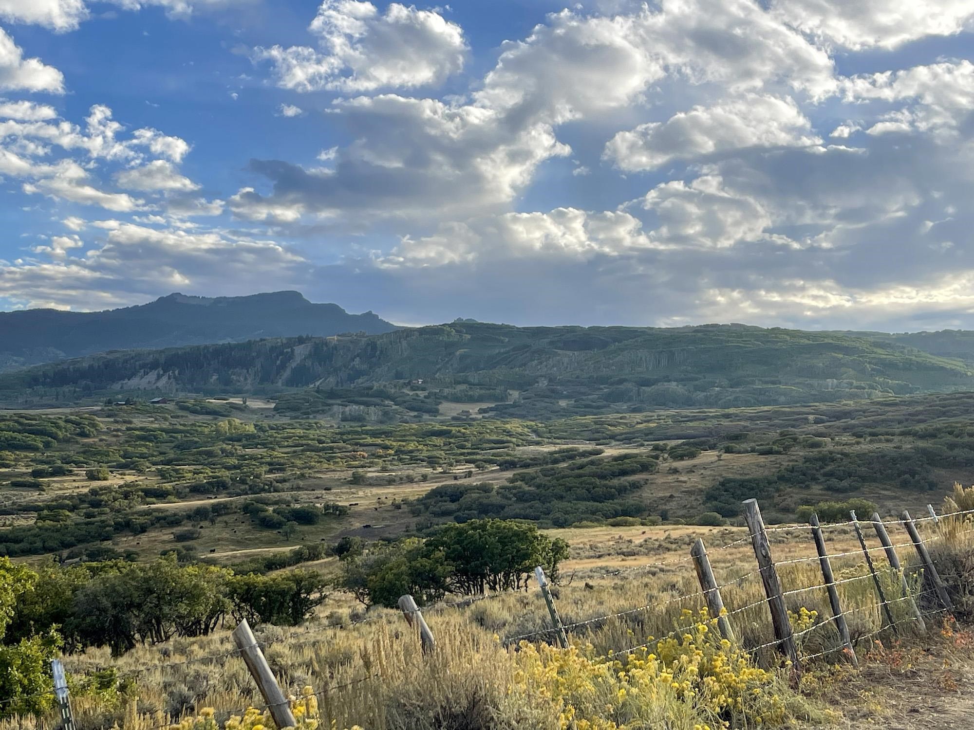 22000 P77 Road Montrose, CO 81403 - Photo 11 of 37 a view of ocean view with large trees