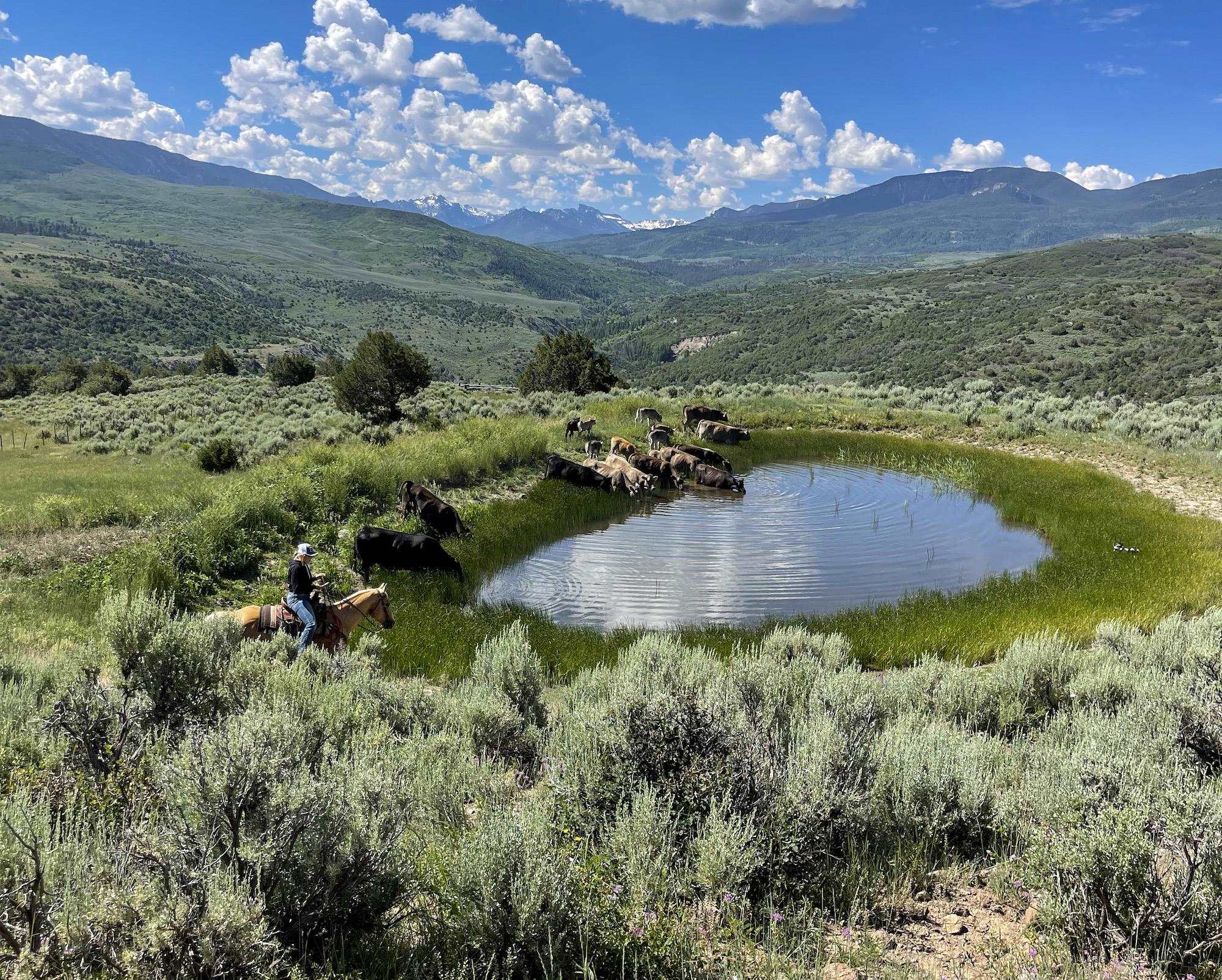 22000 P77 Road Montrose, CO 81403 - Photo 12 of 37 a view of a houses with a lake view