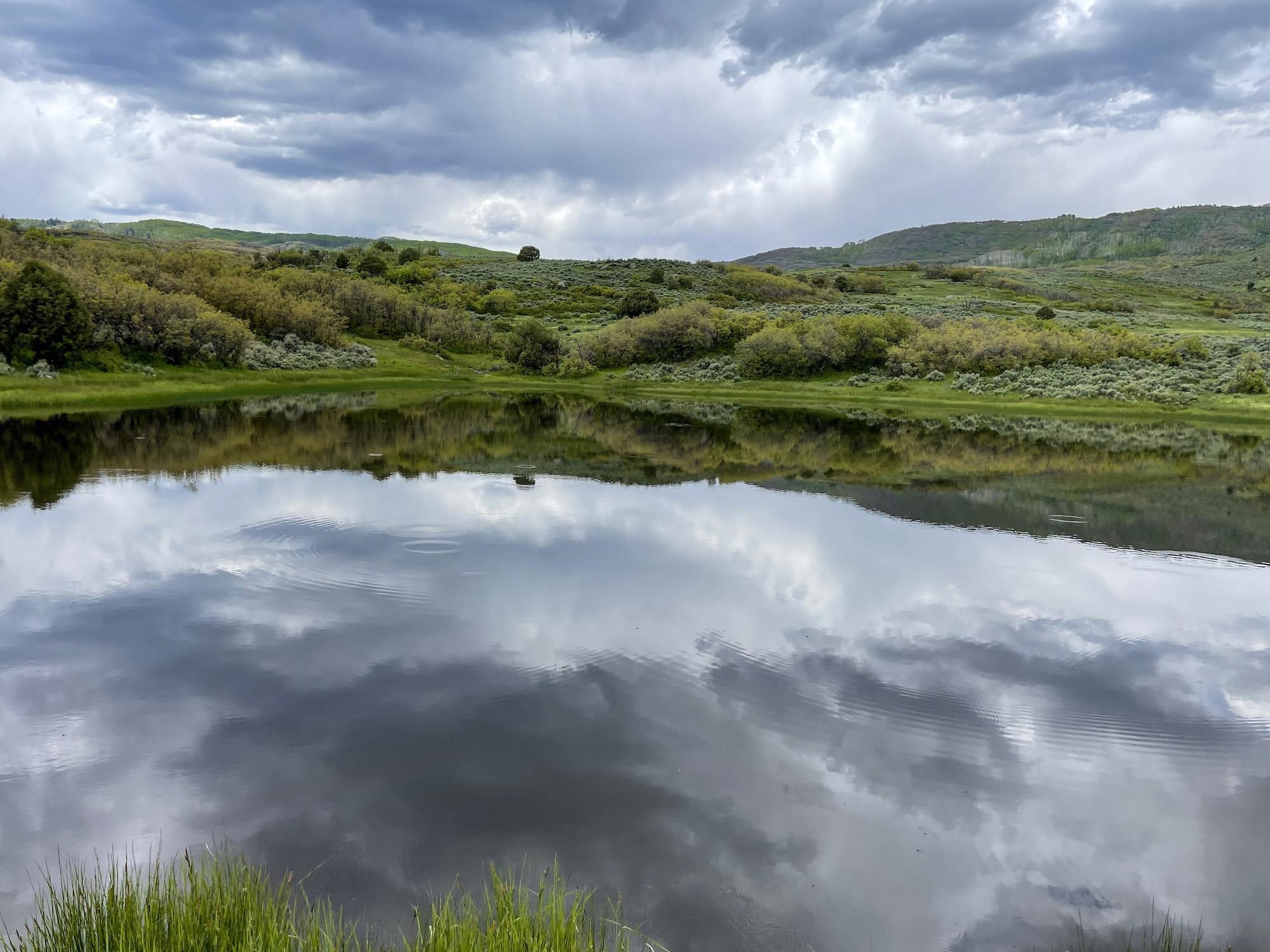 22000 P77 Road Montrose, CO 81403 - Photo 13 of 37 a view of a lake with a yard