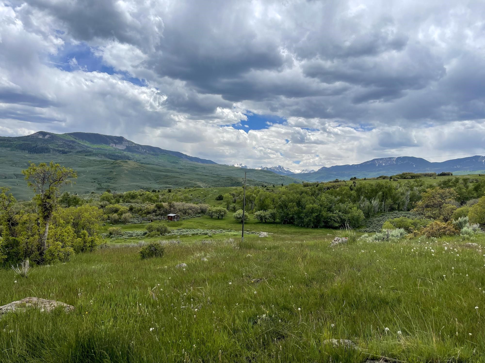 22000 P77 Road Montrose, CO 81403 - Photo 14 of 37 a view of an outdoor space and a yard