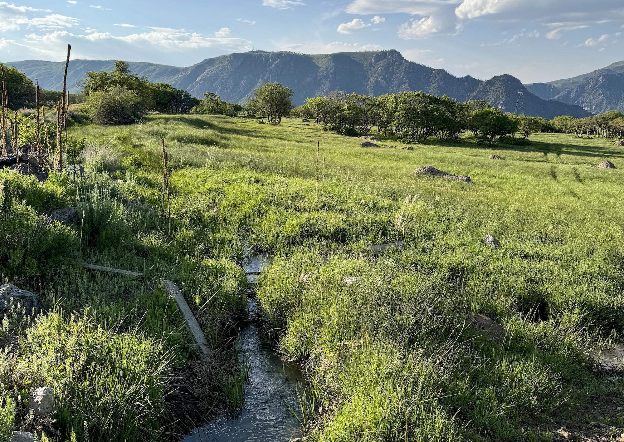 22000 P77 Road Montrose, CO 81403 - Photo 17 of 37 a view of an outdoor space and a lake view