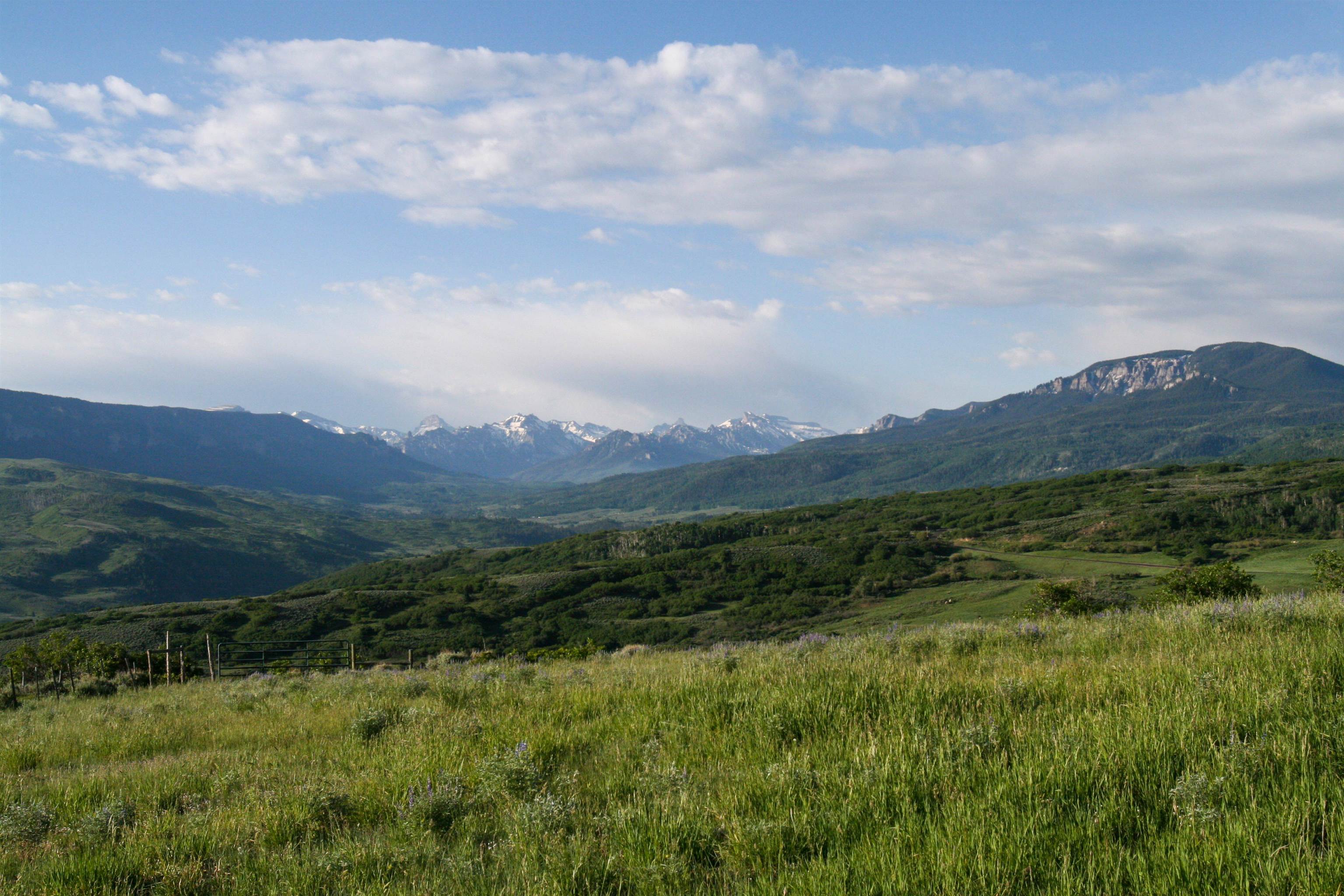 22000 P77 Road Montrose, CO 81403 - Photo 18 of 37 a view of a lush green forest with mountains