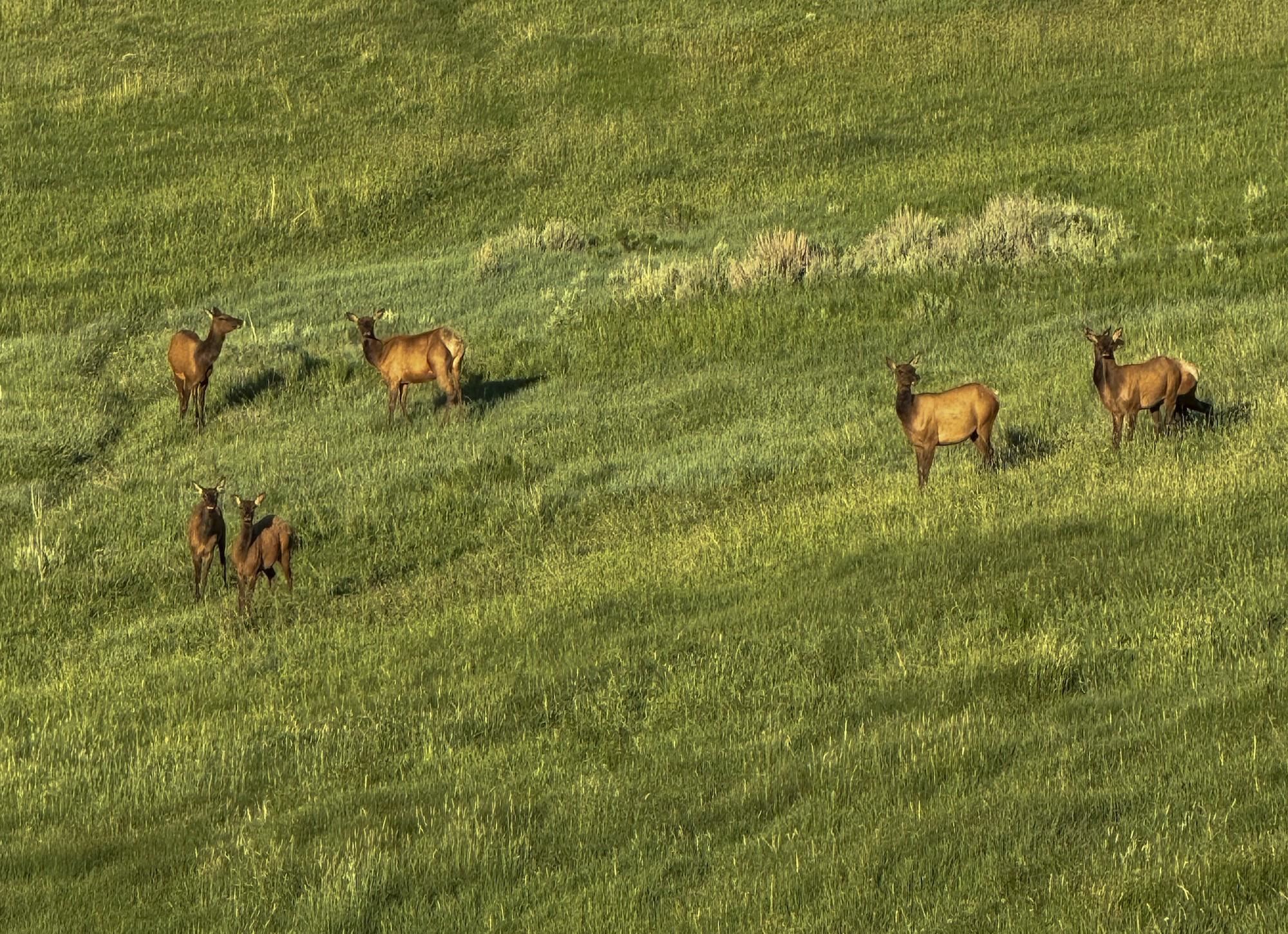 22000 P77 Road Montrose, CO 81403 - Photo 19 of 37 a view of a lake from a yard