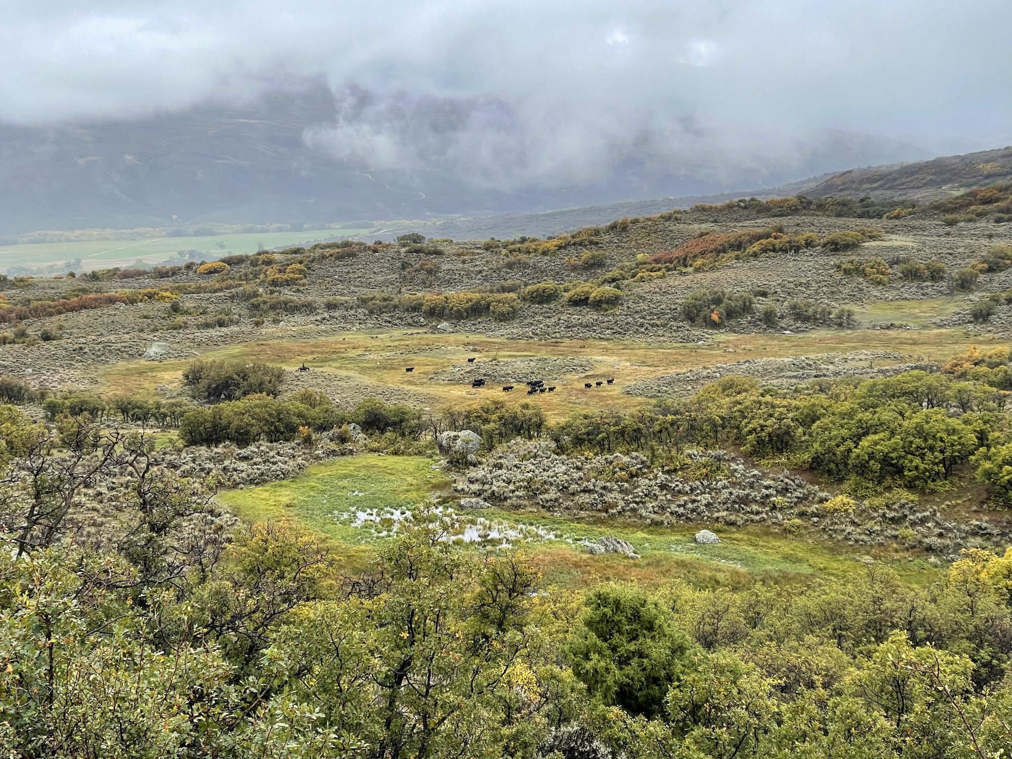22000 P77 Road Montrose, CO 81403 - Photo 20 of 37 a view of an ocean