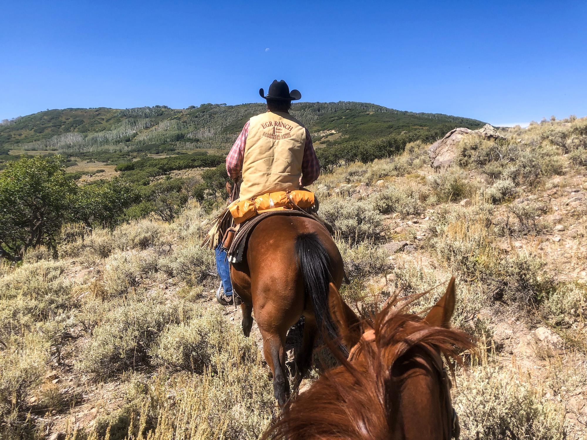 22000 P77 Road Montrose, CO 81403 - Photo 27 of 37 a view of roof with sky view