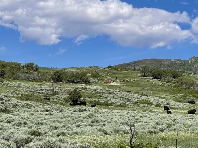 $36,000,000 | 22000 P77 Road, Montrose, CO 81403