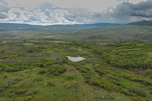 a view of a pathway both side of grassy field with shrub