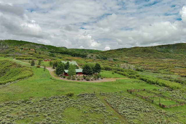 a view of a dry yard with green space
