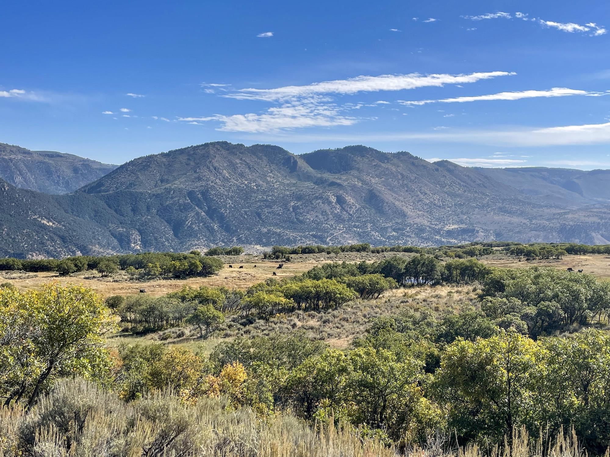 22000 P77 Road Montrose, CO 81403 - Photo 10 of 37 a view of an houses with a yard