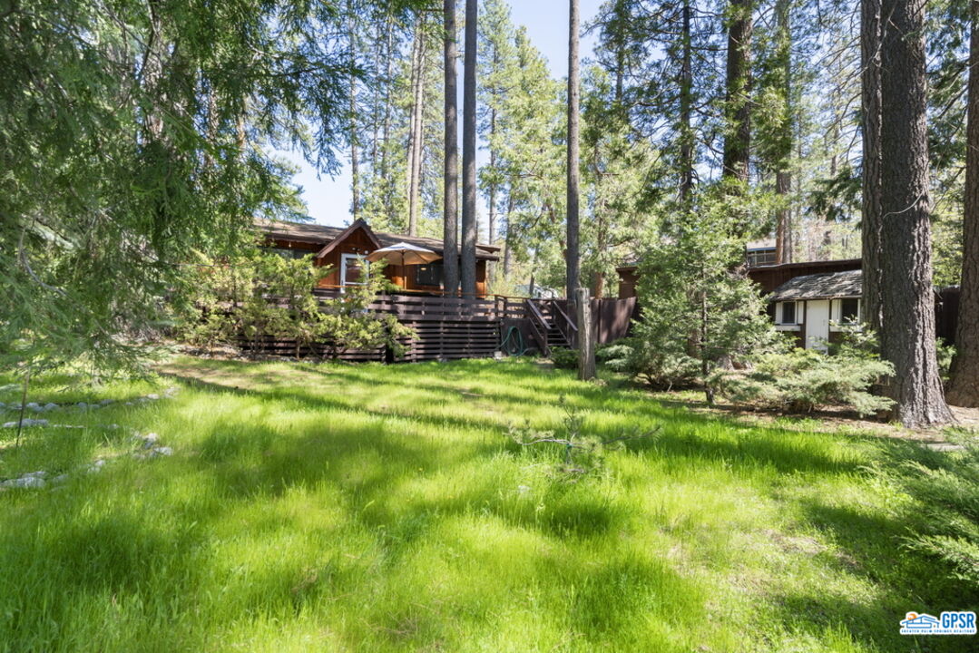 53335 Meadow Drive Idyllwild, CA 92549 - Photo 30 of 35 a view of backyard of house with green space