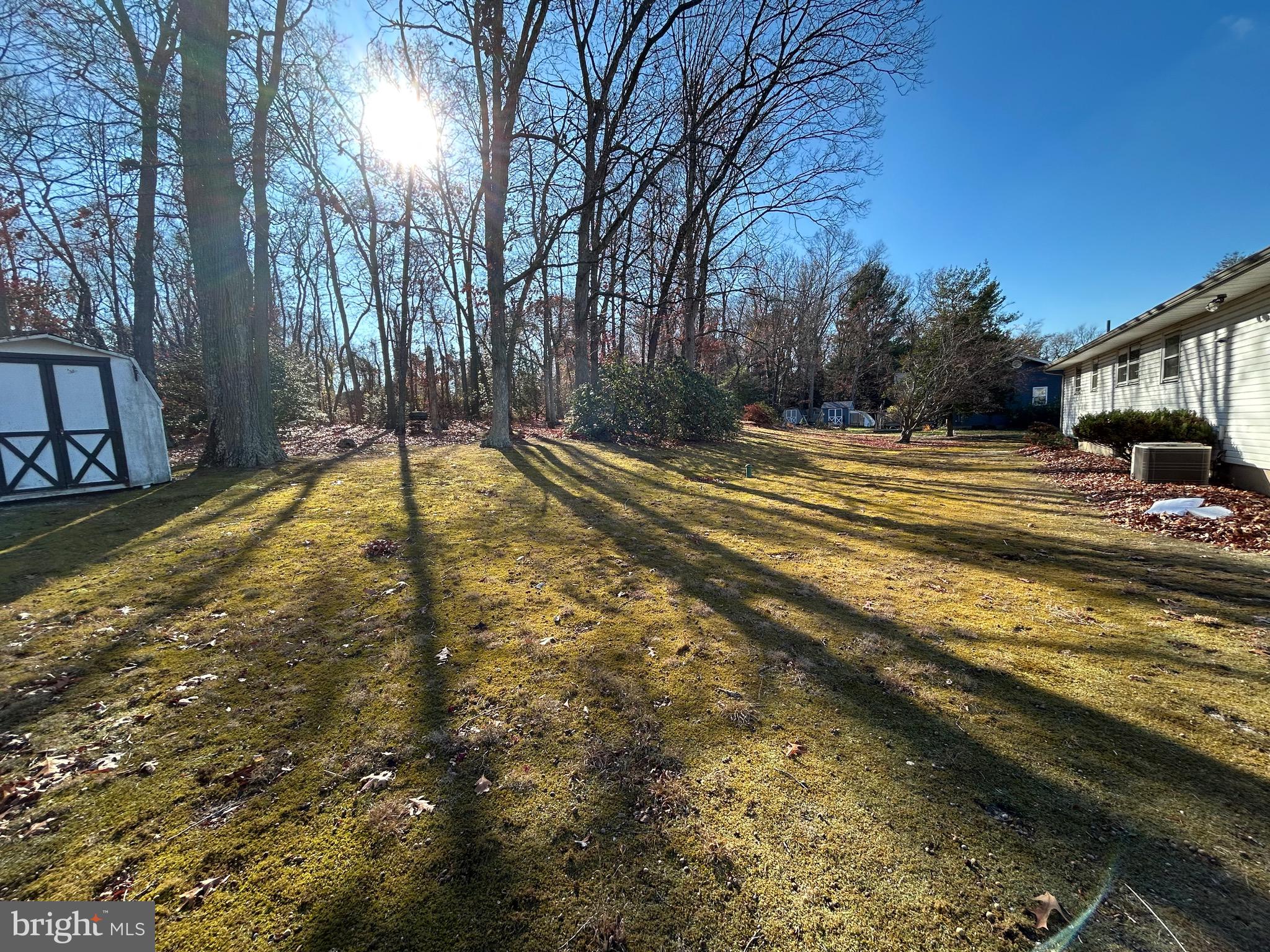 41 Roberts Avenue Bridgeton, NJ 08302 - Photo 7 of 7 a view of a yard with yellow house