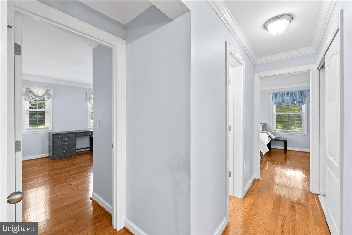 14901 Rydell Road, Unit 201 Centreville, VA 20121 - Photo 14 of 30
