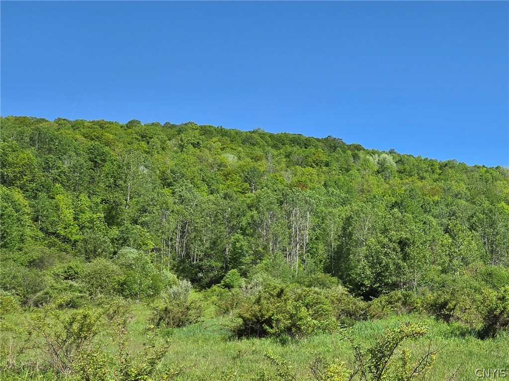 446 Nys Route Cuba, NY 14727 - Photo 11 of 47