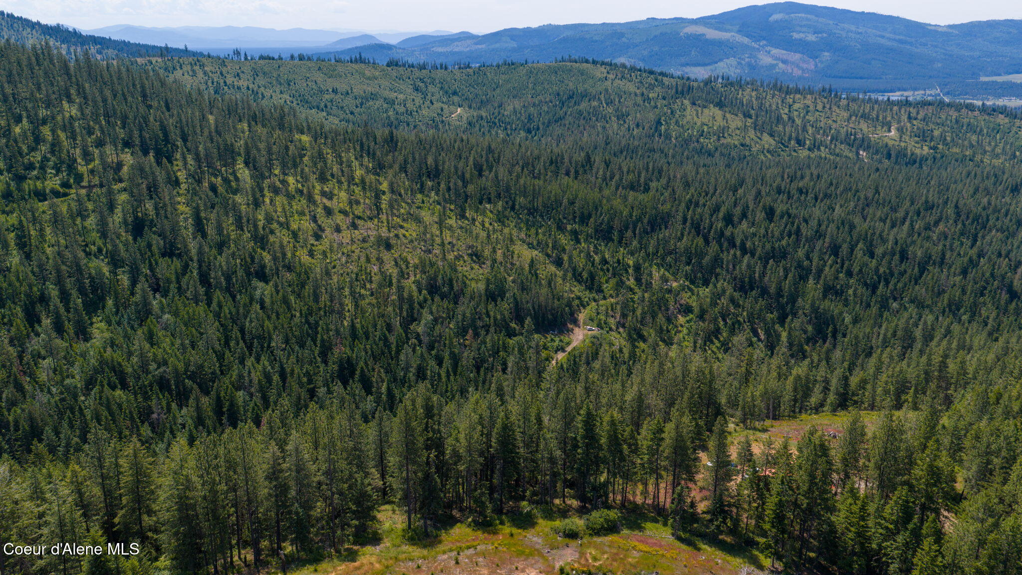 2089 Tower Mountain Road Blanchard, ID 83804 - Photo 7 of 35 9-web-or-mls-DJI_20260625111357_0025_D