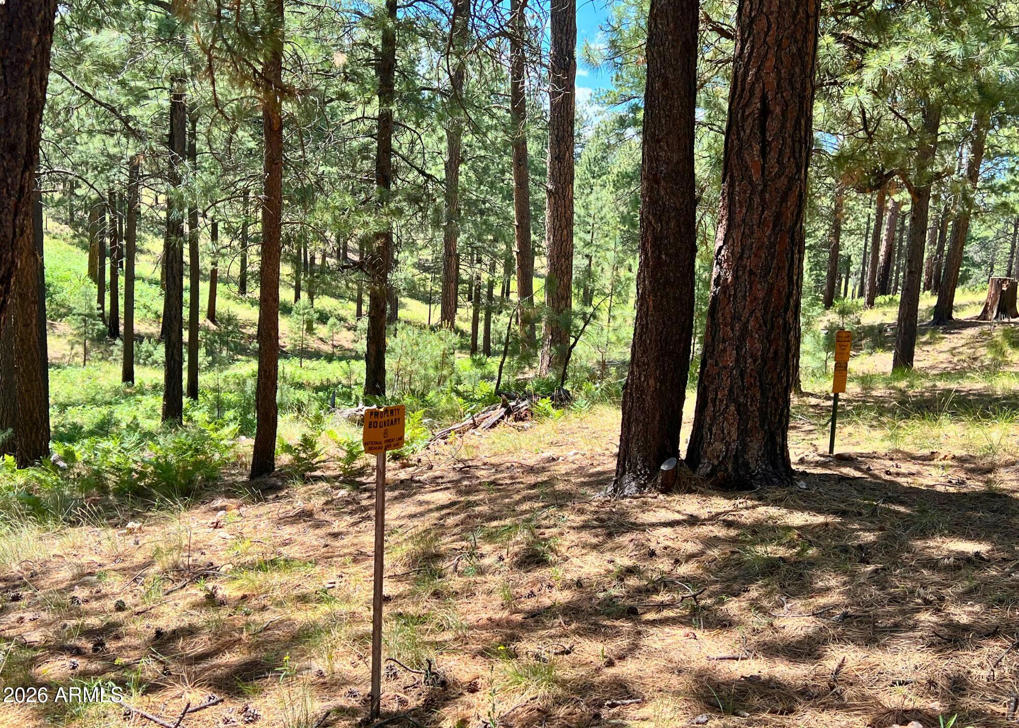 2367 Ryan Ranch Loop Forest Lakes, AZ 85931 - Photo 69 of 70